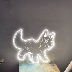 Pokemon Poochyena Laser Signs