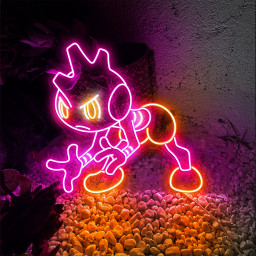 Pokemon Tyrogue Neon Signs