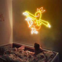 Combusken Pokemon Neon Sign
