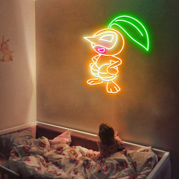Pokemon Nuzleaf Neon Signs